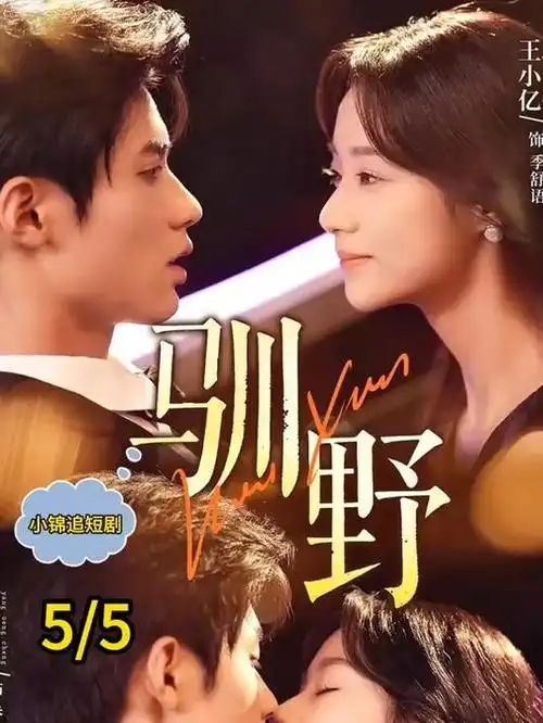 第十三层 都市悬疑剧全集